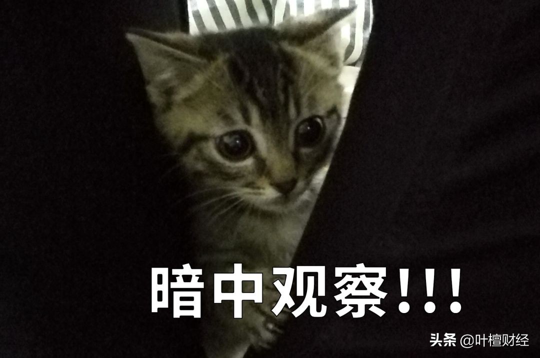 专业投资者需要合格投资者认定吗,合格投资者认定条件包括投资经历