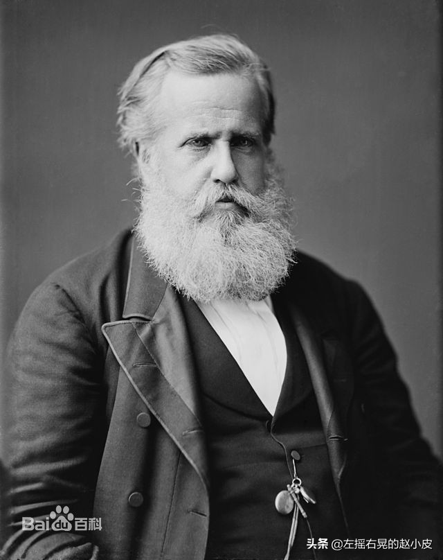 巴西帝国皇帝佩德罗二世,巴西帝国皇帝佩德罗心脏