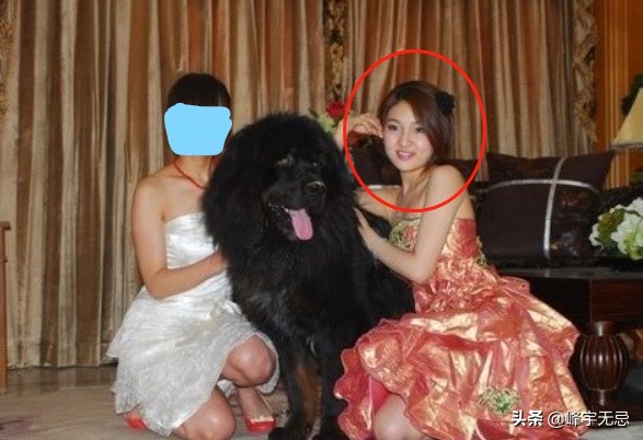 郭美美是怎么火起来的,郭美美犯了什么错