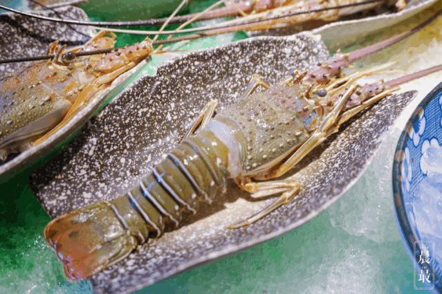 魔都新地标网红店,魔都新晋网红地标