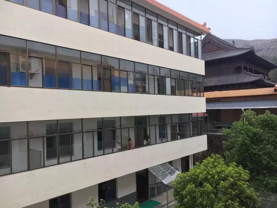 一整天忘记带手机是什么体验,24小时没有手机是什么体验