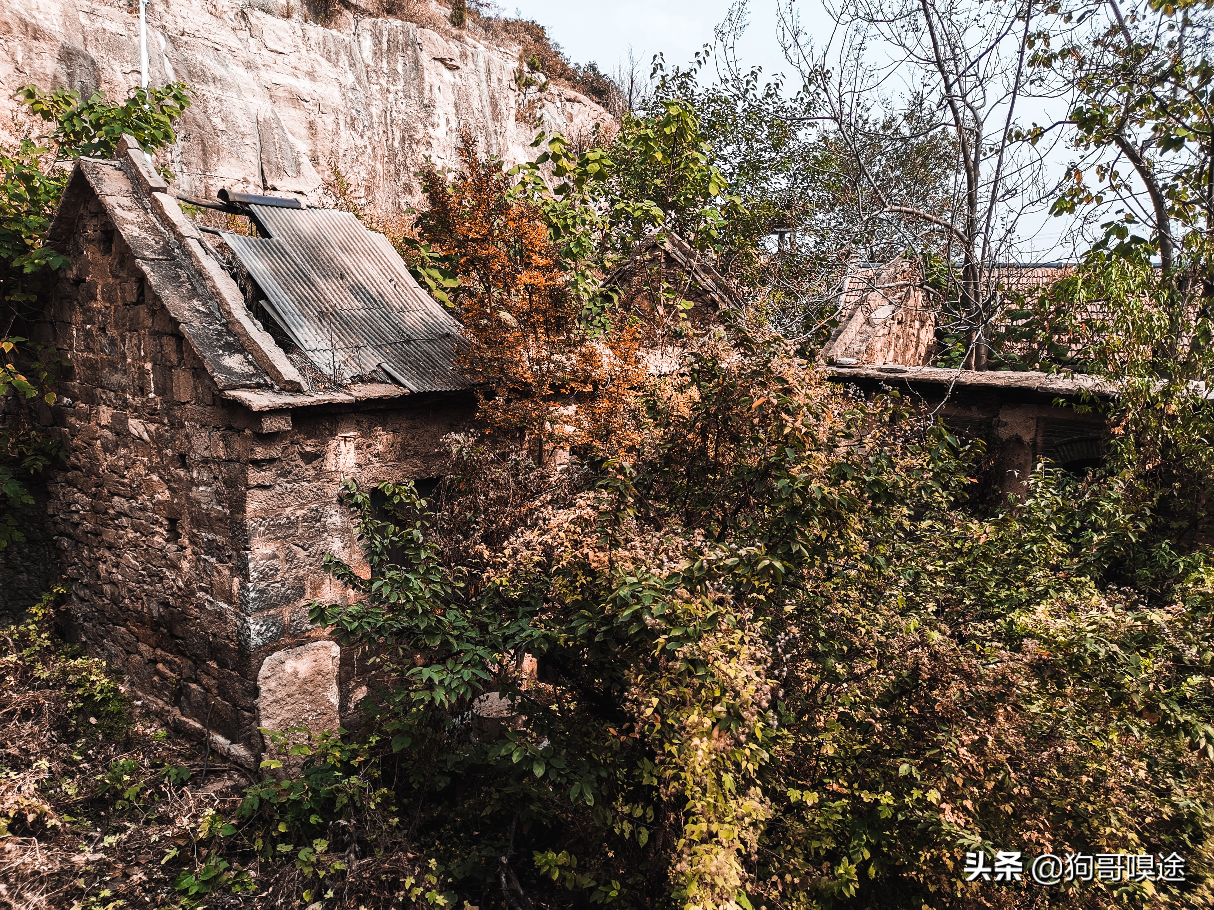 淄博山里的风景区,淄博避暑的好去处张店