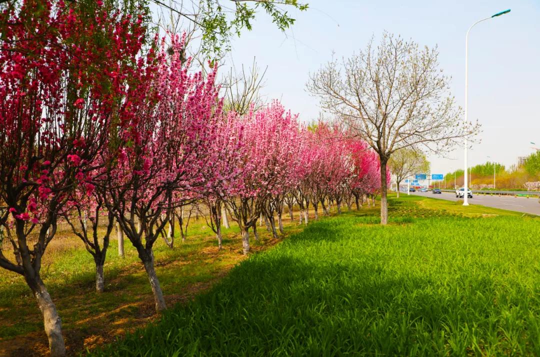 是什么让越来越多的年轻人爱上津南,留在津南!