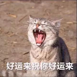 利用机器学习炒股,利用机器学习算法进行房价预测