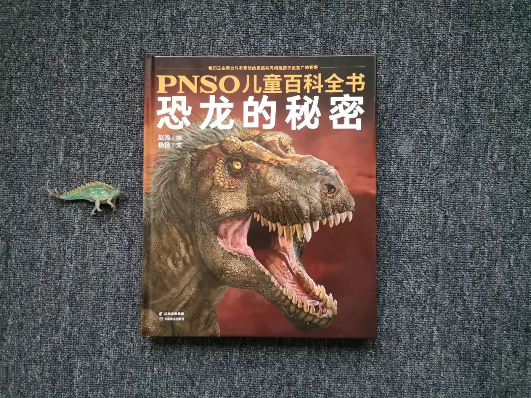 适合孩子看的恐龙科普书,适合5岁孩子看的恐龙科普书