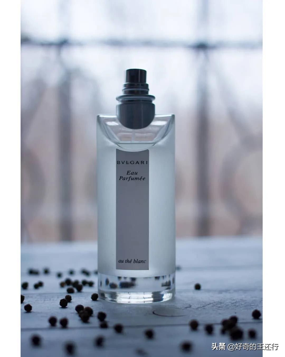 宝格丽茗珍白茶故事,宝格丽茗珍白茶平替