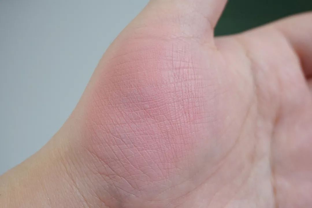 秋冬温柔显白美甲腮红,橘朵腮红哪个适合秋冬