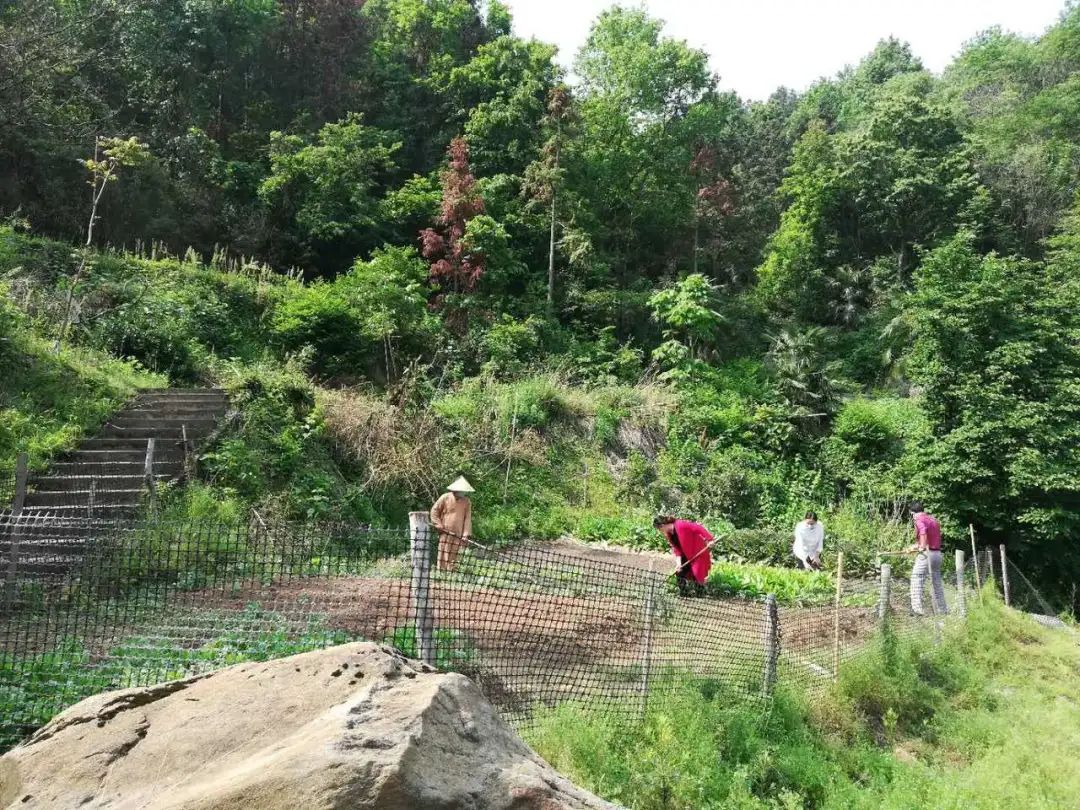 抢抓农时开展农业生产,农民纷纷抢抓春耕生产有利时机