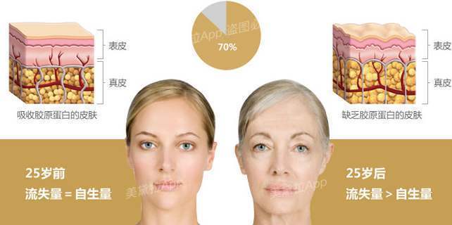 补水保湿美白蛋白精华,美白补水抗皱紧致胶原蛋白