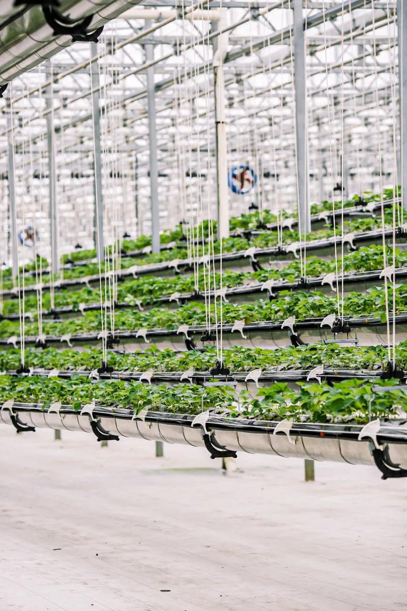 在大山深处幽静绝美的村落,深藏大山中的村落