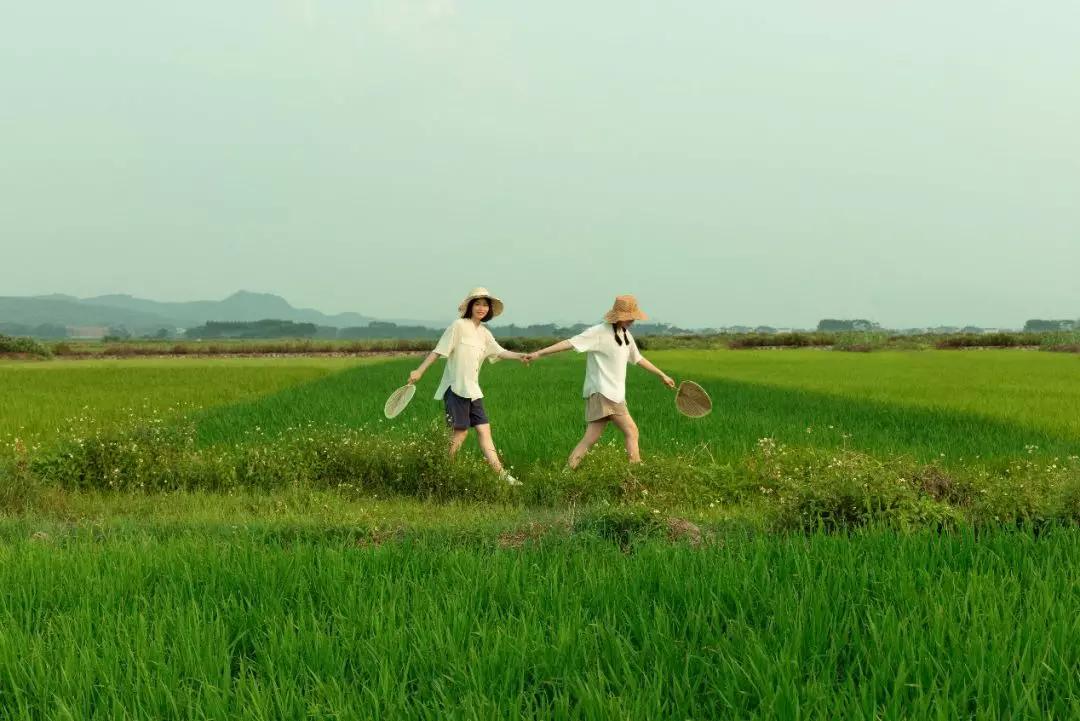 如何拍出原始森林的感觉,怎样拍出森林氛围感大片