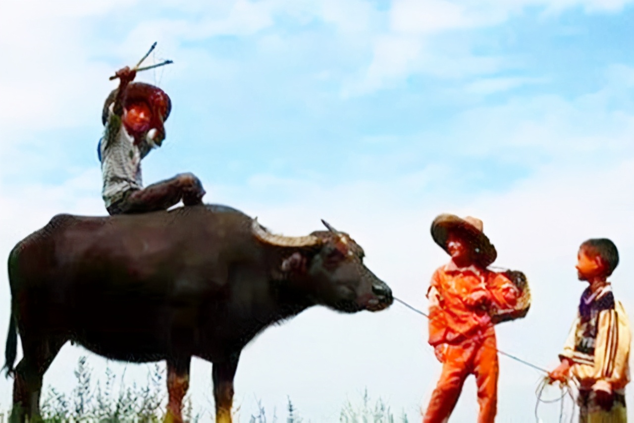 鐢蜂汉瑕侀棷濂充汉瑕佽崱,鍐滄潙淇楄鐢蜂汉鍥涘崄