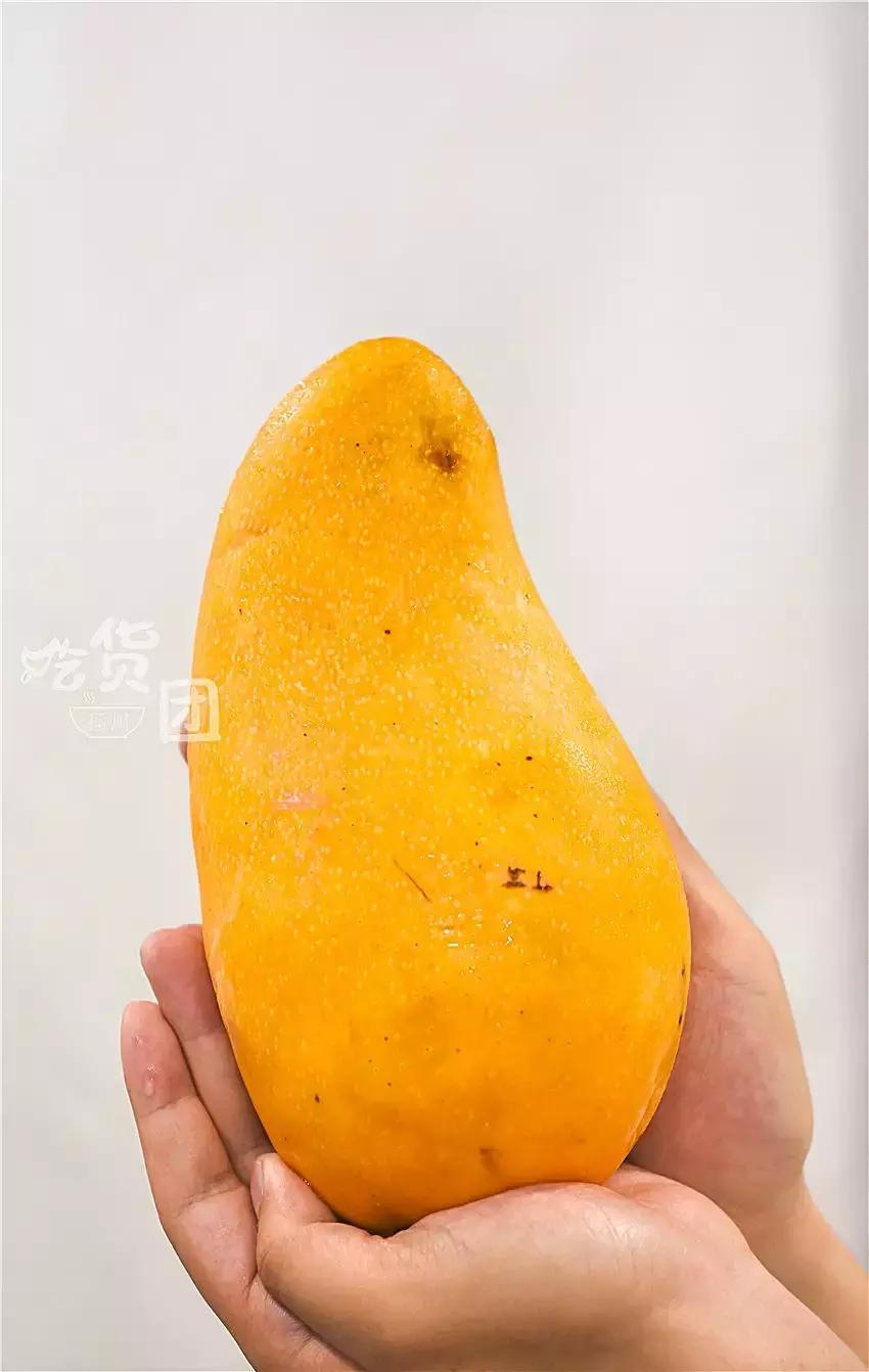 福州最便宜的饭团,福州最好吃的饭团店