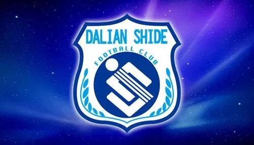 中国足球职业化排名,深度分析中国足球发展之路