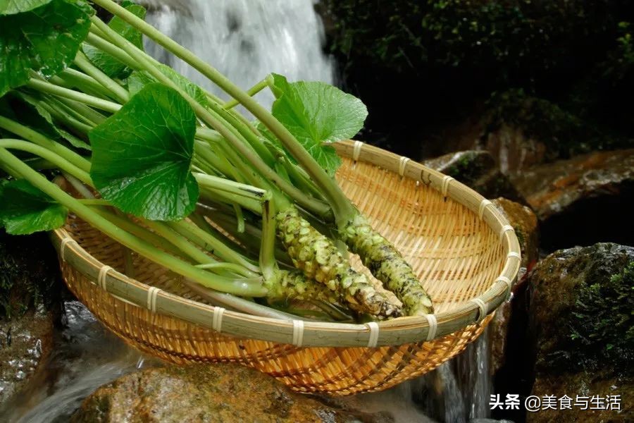 吃刺身用到的酱汁是什么,吃刺身不蘸料