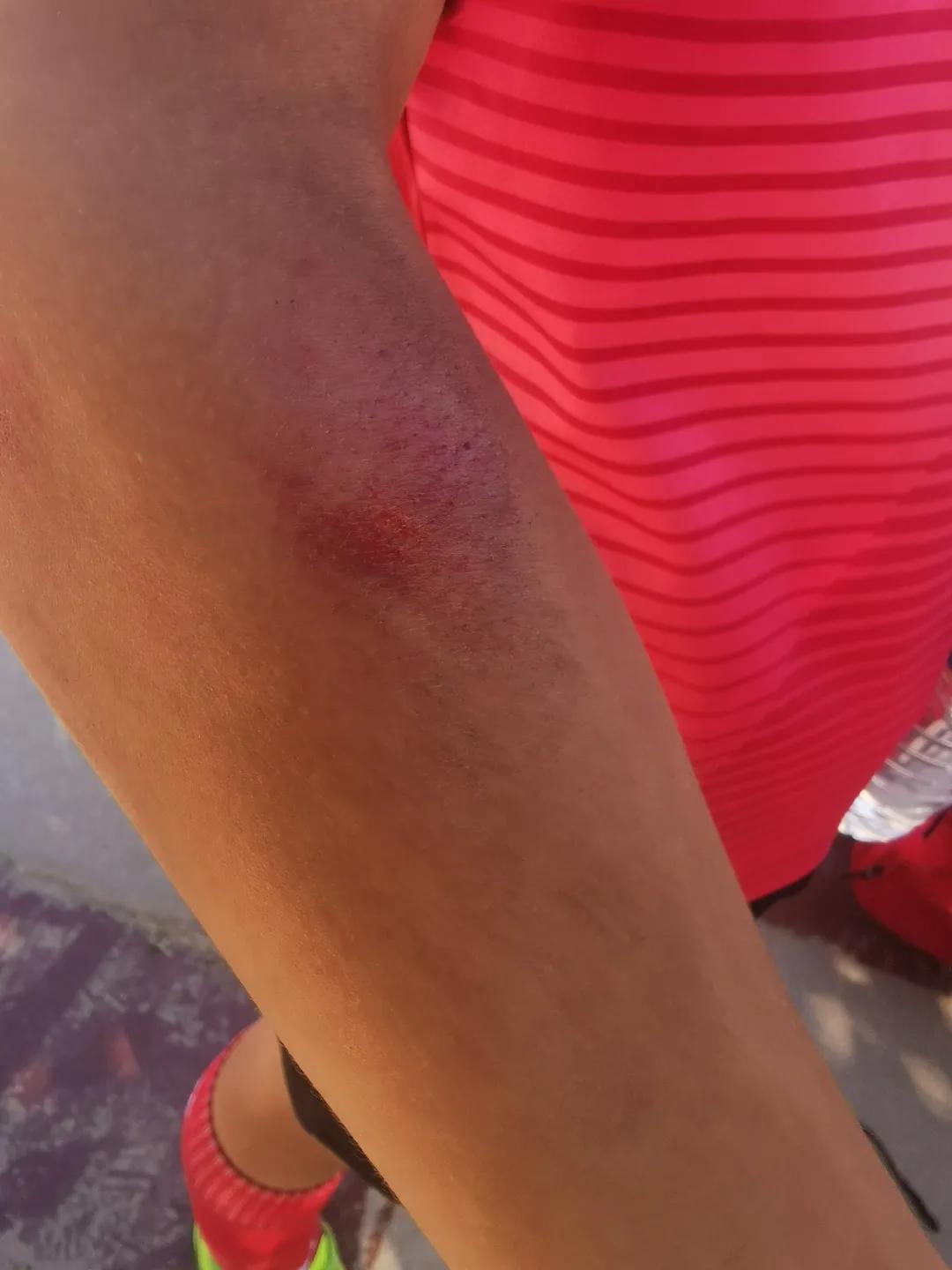 博雅少年奖,博雅学校学子风采大赛