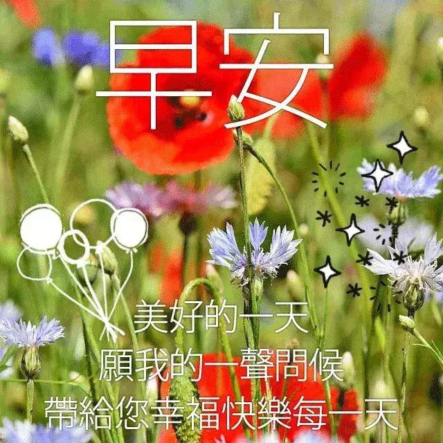 对老公再好他都不会心疼你,有的时候你做的再好也没人心疼你