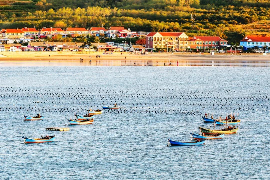 三亚和厦门哪一个更值得去旅游,三亚和厦门哪个更值得去旅游