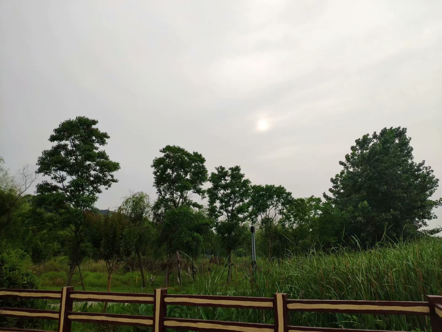 新概念25课逐句讲解,新概念英语重点单词解析