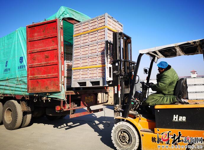 河北脱贫攻坚,图文直播张家口一中