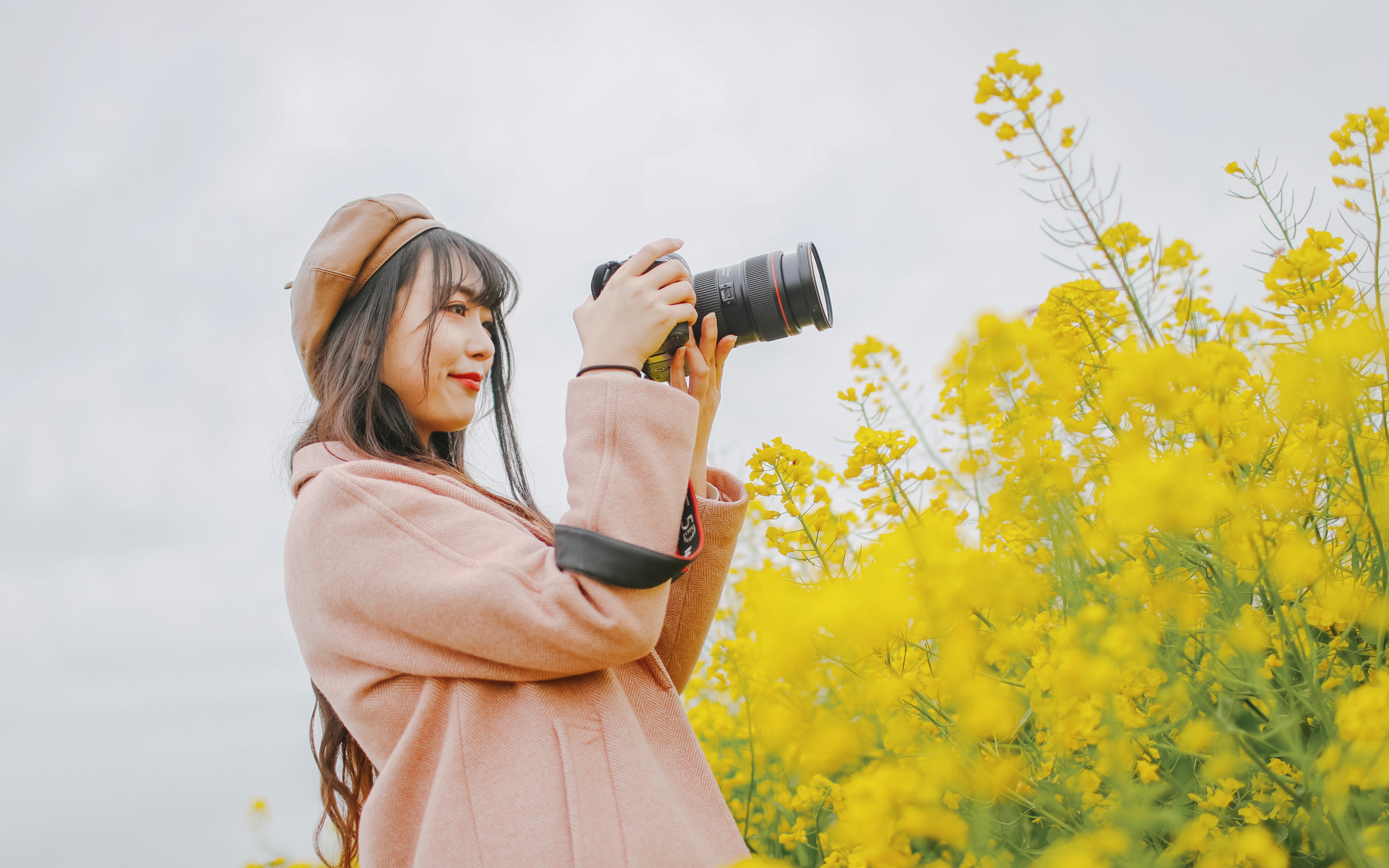 兴化三日游自驾游路线,去兴化看油菜花海攻略