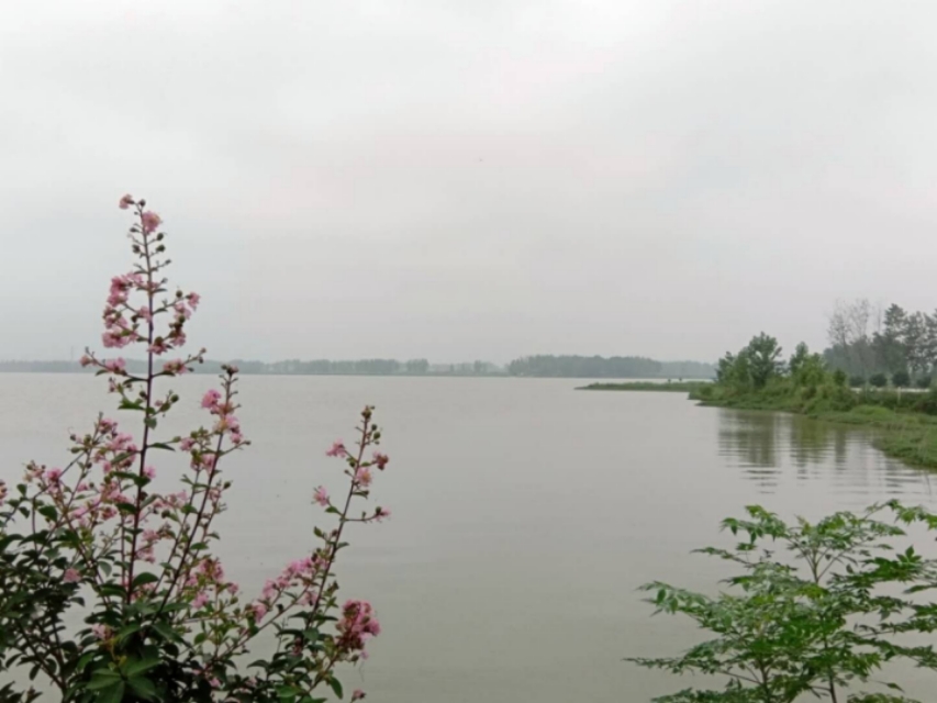 淮滨哪省的,淮滨附近有哪几个县城