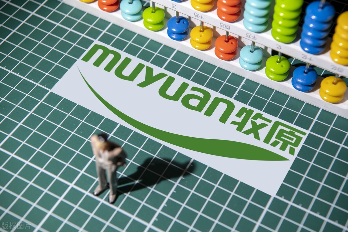 牧原股份盈利模式及风险分析 (牧原股份投资价值分配)