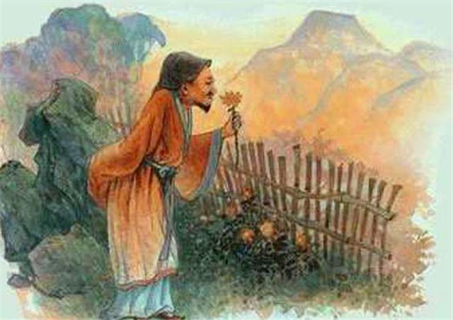 关于菊花姿态优美的诗句,描写菊花诗句经典语录