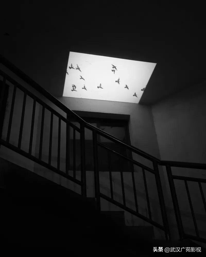 黑白摄影艺术魅力,黑白摄影的魅力可谓精妙绝伦