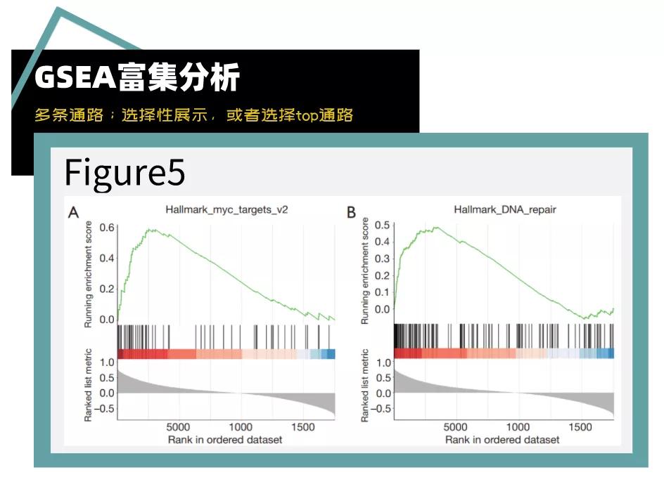 sci发表小技巧,零基础如何快速发表一篇sci
