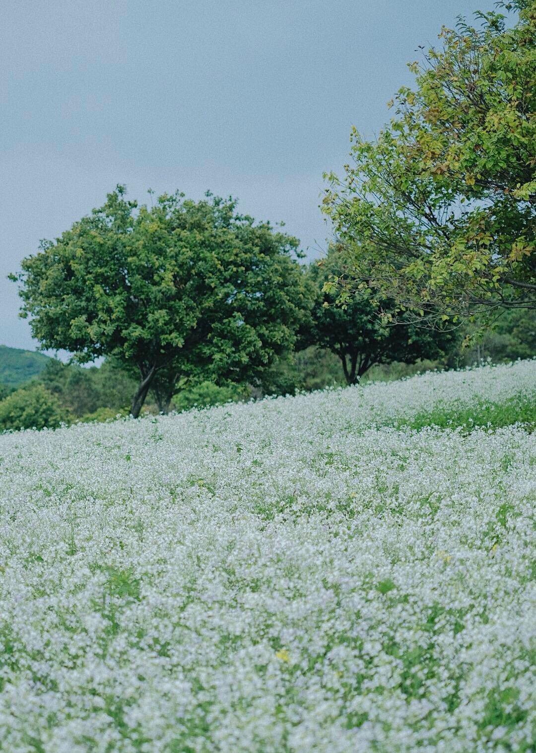 一念天堂一念地狱下载,一念天堂一念地狱是谁说的