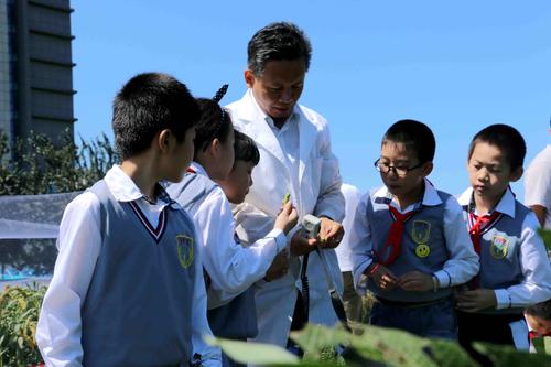 徐汇小学名校,上海徐汇区最好的小学