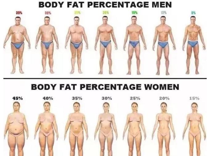 bmi和体脂都正常怎么减肥,腰臀比怎么测体脂率