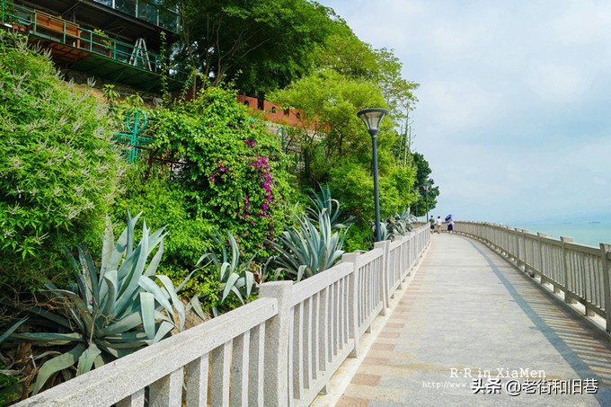 四天玩遍厦门,四天畅游厦门