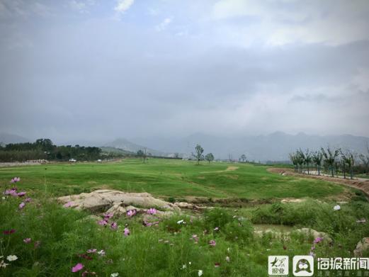 20多家主流媒体齐聚,一百多家媒体关注蒙阴