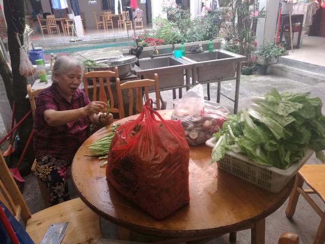 青城山农家乐介绍范文,青城山镇药王山下农家乐的故事