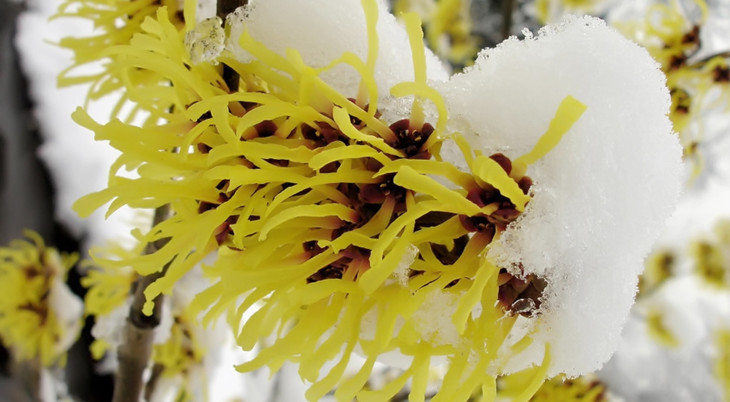 产后痔疮很严重怎么办,产后痔疮快速止痛小妙招