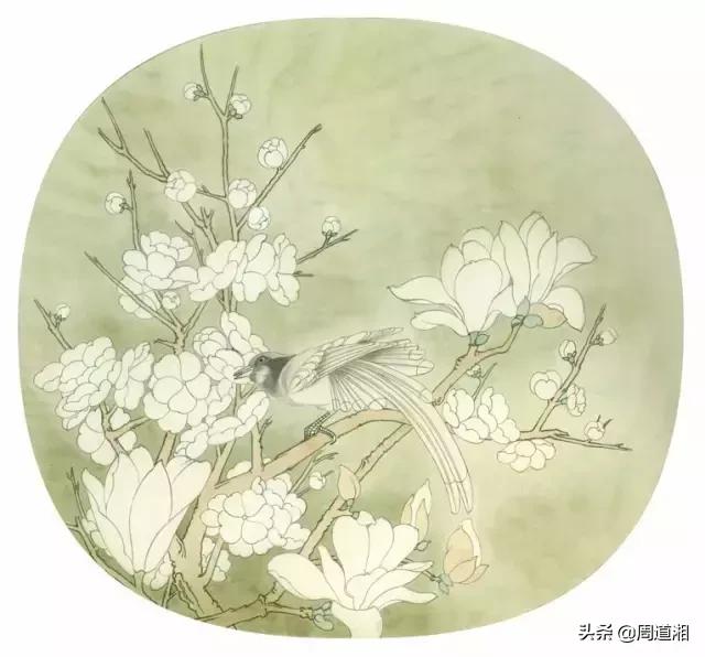 宋人工笔花鸟临摹步骤,工笔花鸟玉兰的画法