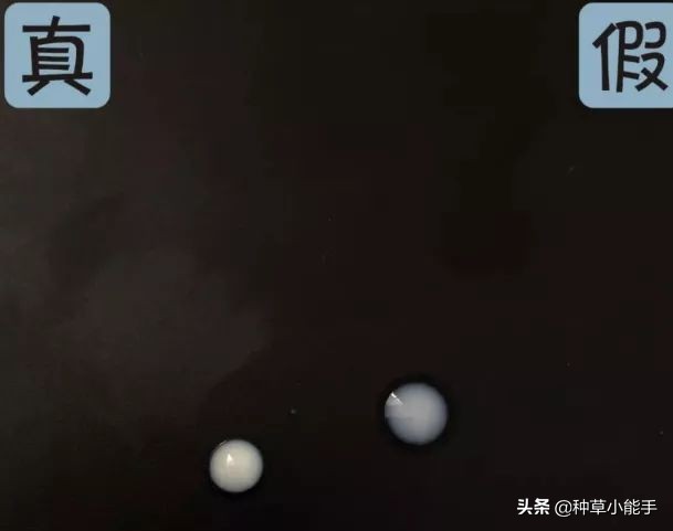 网红卖的安耐晒,安耐晒低价