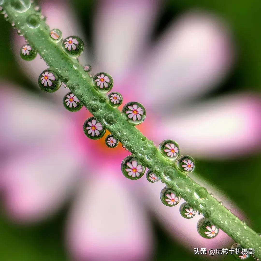 手机怎样拍照更好看而且清晰,手机拍照怎么让背景模糊人物清晰