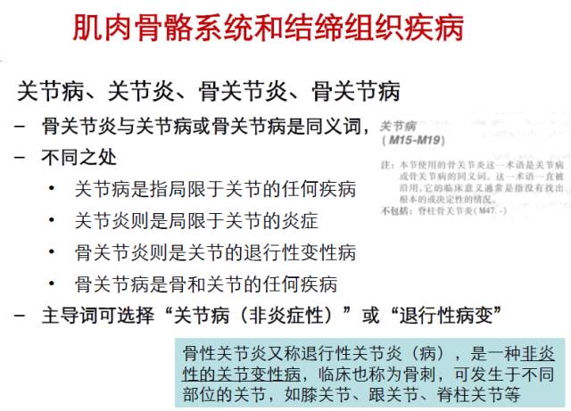 icd编码规则详解,一文读懂intp