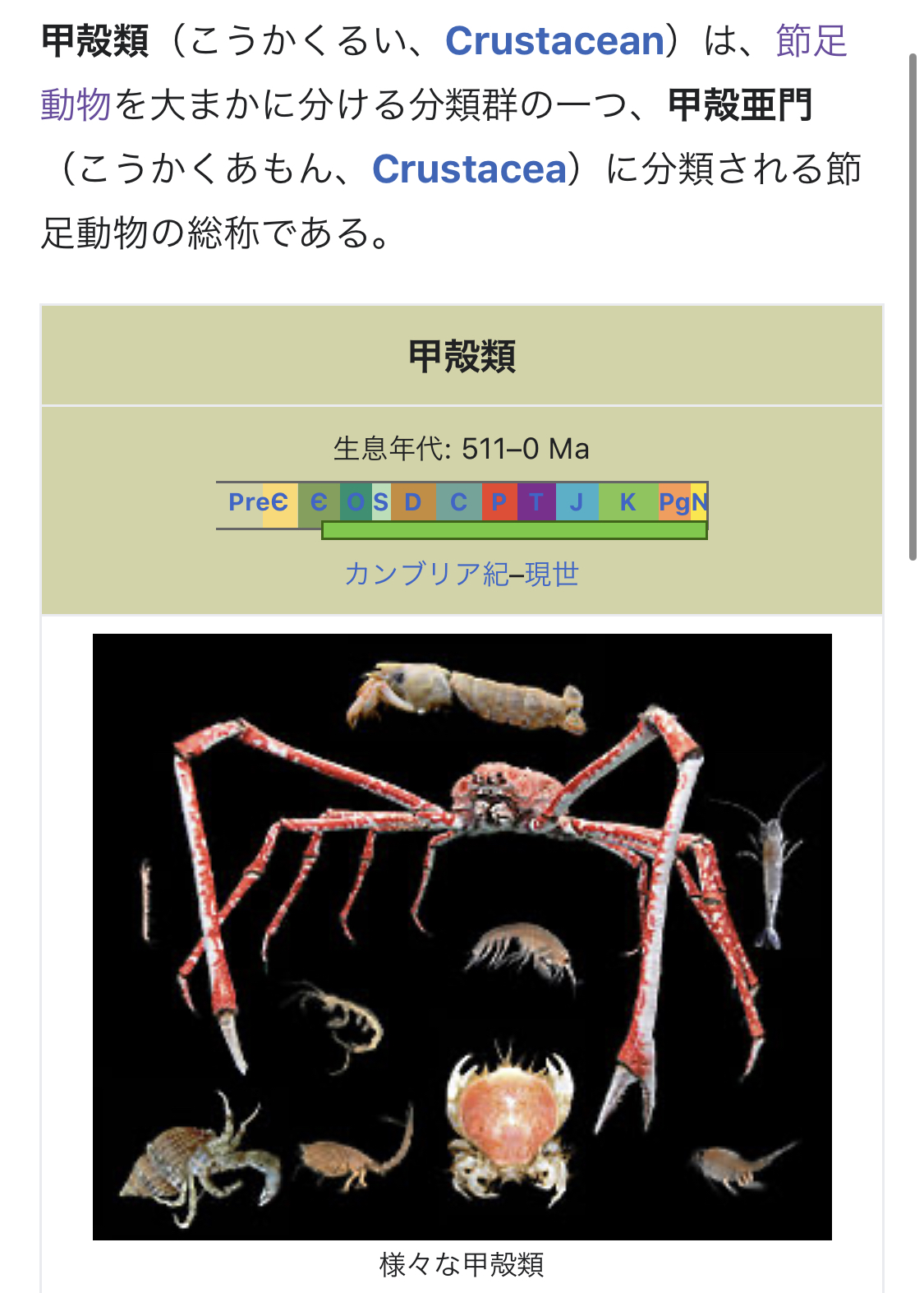 山治血统因子觉醒惊呆奎因,文斯莫克山治血统因子觉醒