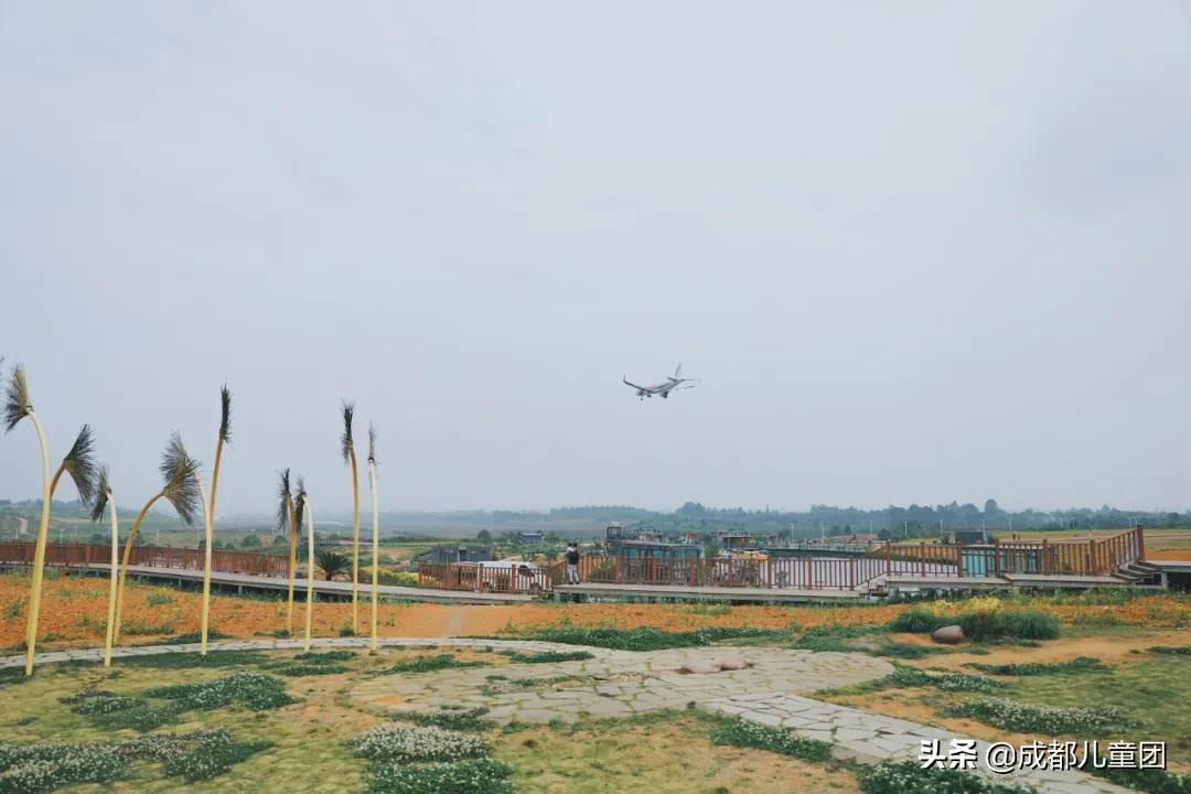 空港运动公园游玩攻略,空港体育公园是空港花田吗