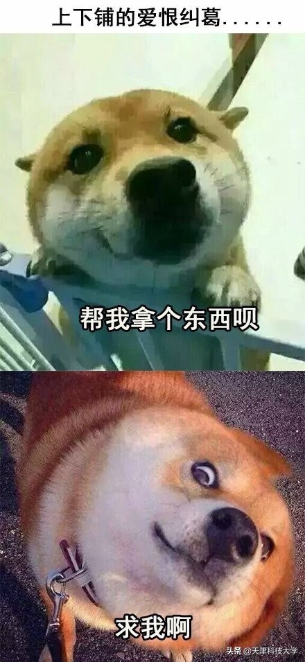 大学生生活真实案例,大学生真实生活实录