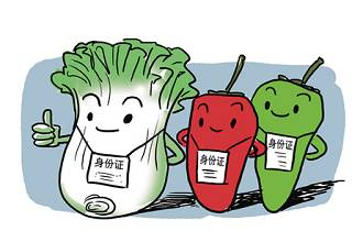 农产品打造优质品牌,农产品品牌打造与推广