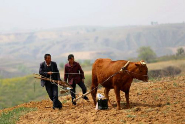 中国三轮车走红,中国电动三轮车之王