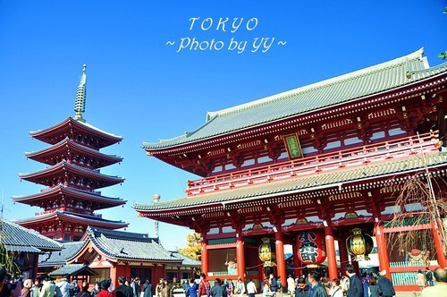 旅游景点的介绍怎么写,旅游景点介绍视频