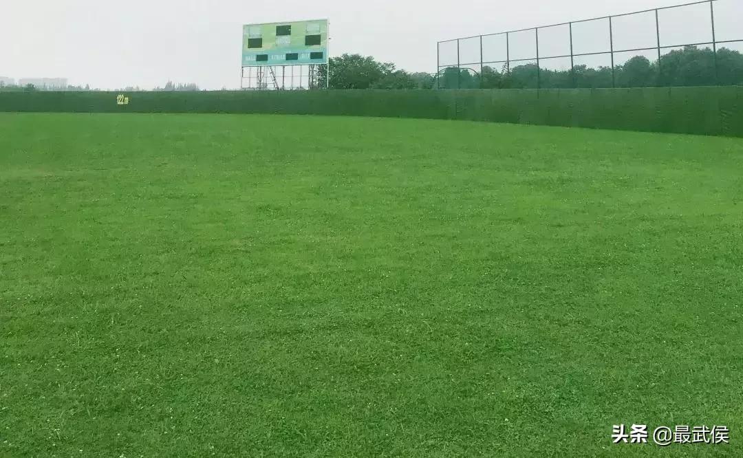 成都世警会比赛时间表,成都世警会比赛视频直播