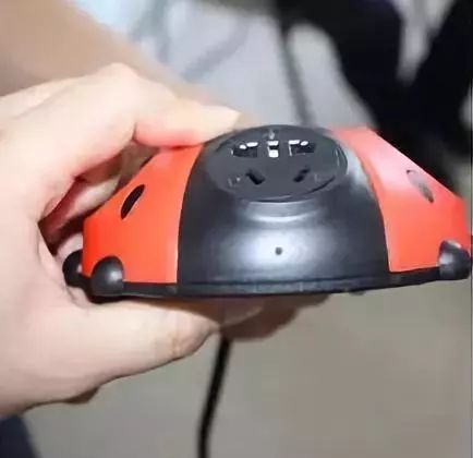 女子在家门口捡到瓢虫,家门口捡到两个瓢虫