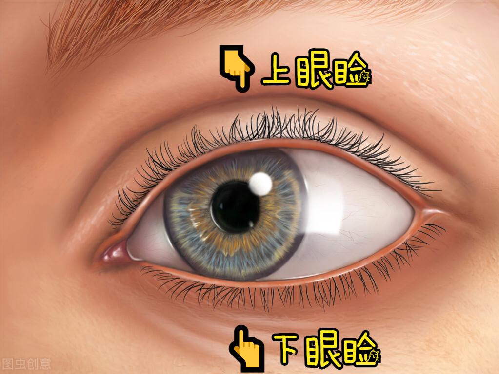 眼皮总痒用什么药膏,胳膊痒一挠就起皮屑怎么回事